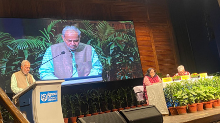 constitution day  (1)